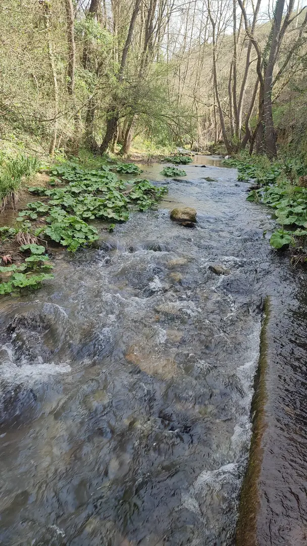 Paşasuyu Natural Life Valley — Kocaeli — küçük resim 4