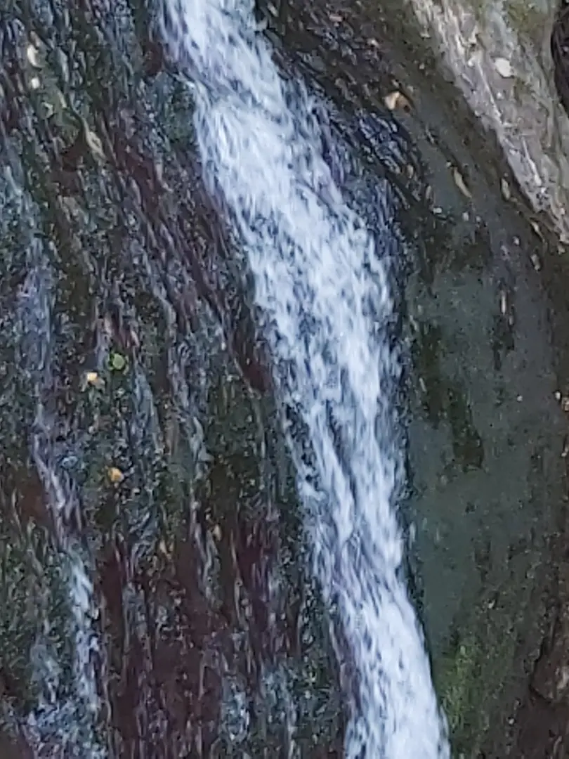 Paşasuyu Natural Life Valley — Kocaeli — küçük resim 7