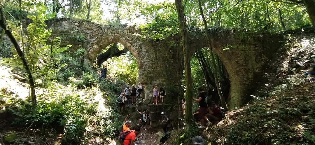 Paşasuyu Natural Life Valley — Kocaeli — küçük resim 3