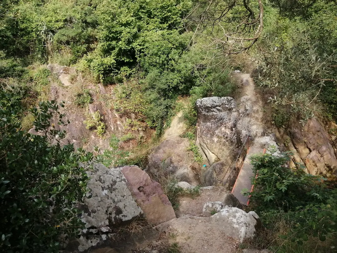 Paşasuyu Natural Life Valley — Kocaeli — küçük resim 6