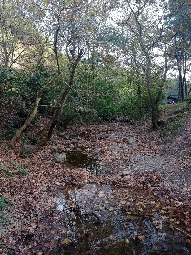 Çenedağ Waterfall — Kocaeli — küçük resim 5
