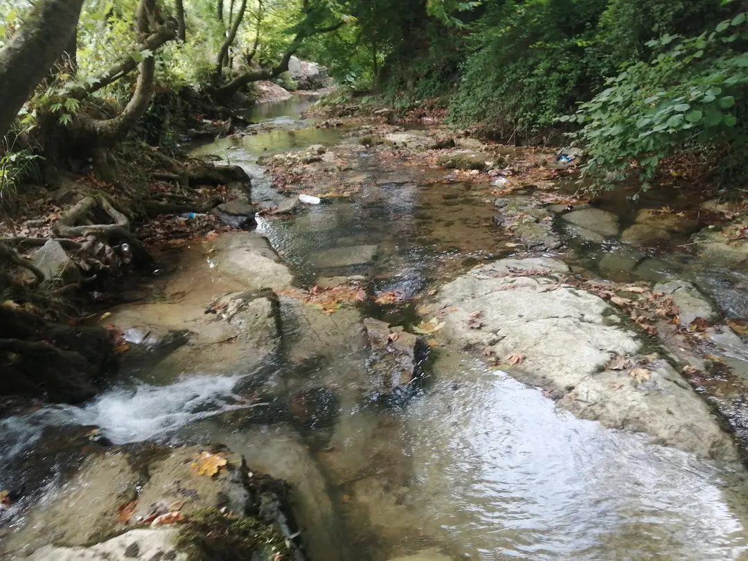 Paşasuyu Walking Trail and Recreation Area — Ankara — küçük resim 9
