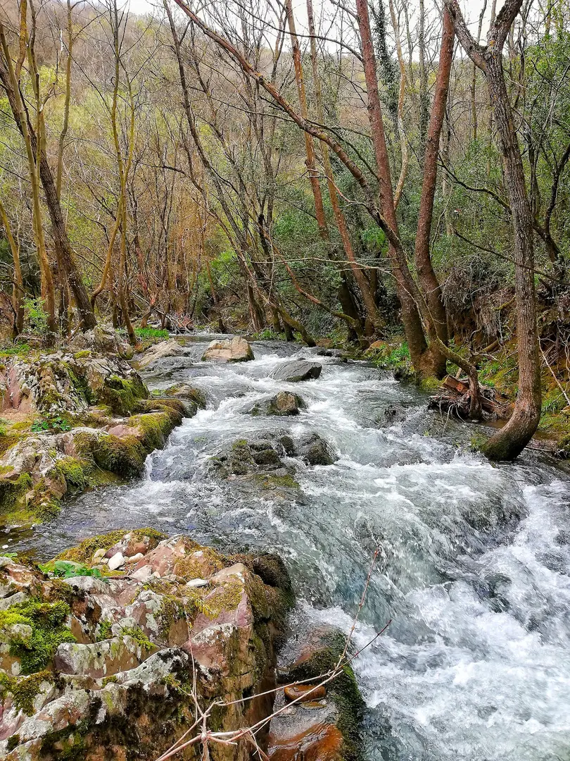Paşasuyu Walking Trail and Recreation Area — Ankara — küçük resim 10