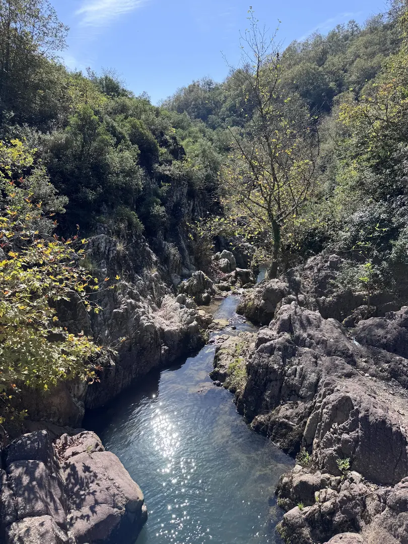 Paşasuyu Yürüyüş Parkuru ve Mesire Alanı