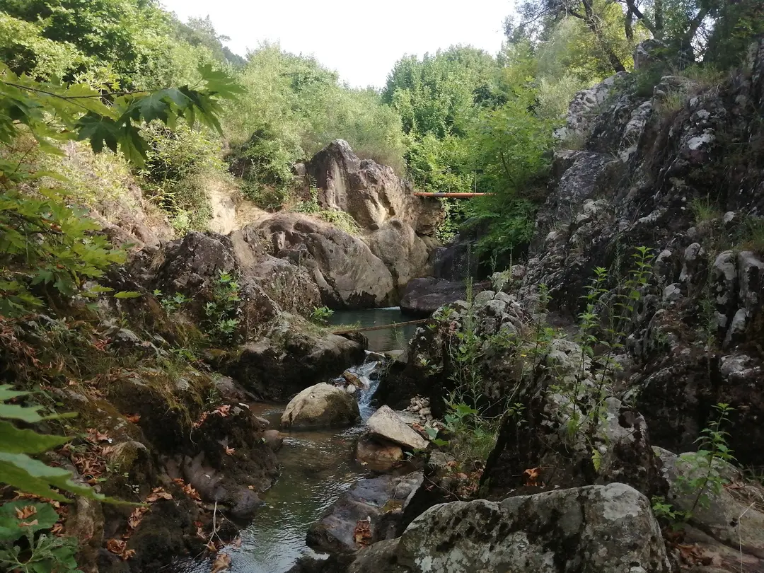 Paşasuyu Walking Trail and Recreation Area — Ankara — küçük resim 2