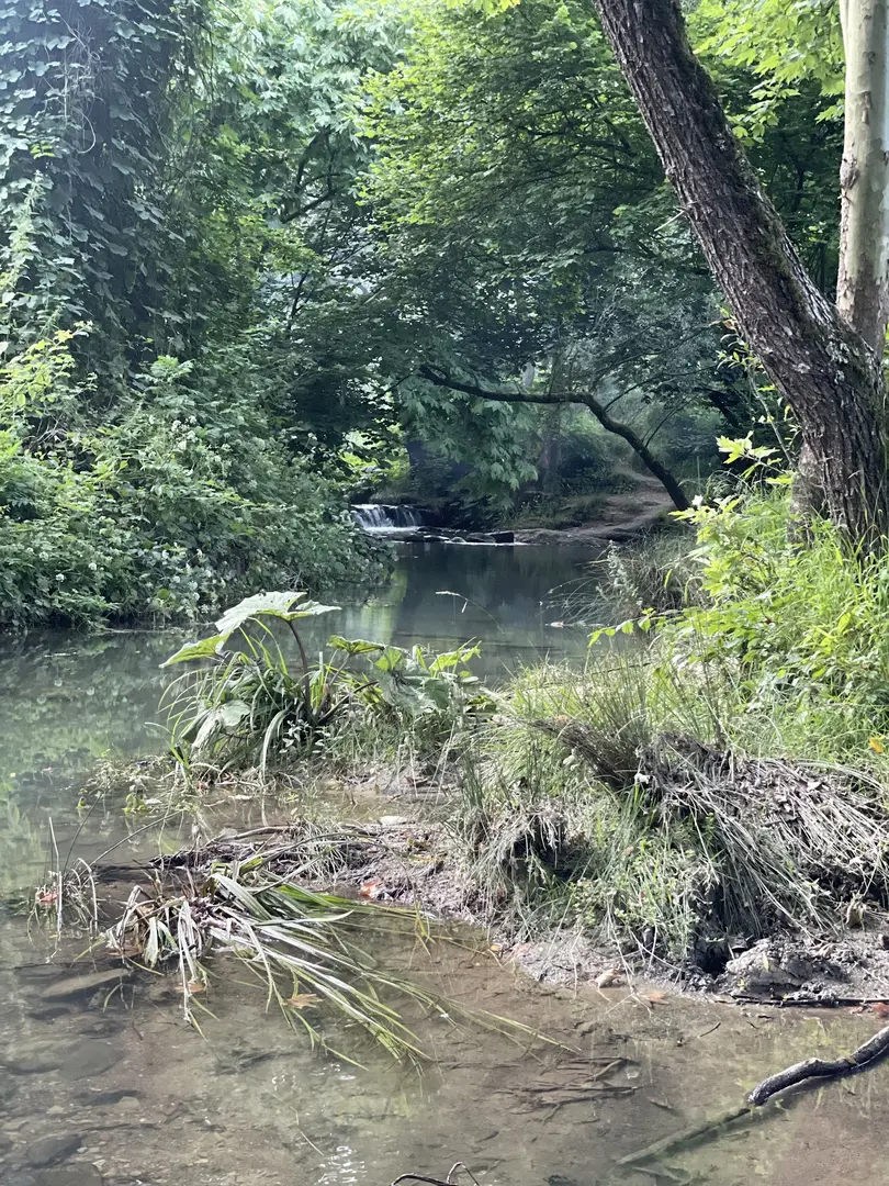 Paşasuyu Walking Trail and Recreation Area — Ankara — küçük resim 8