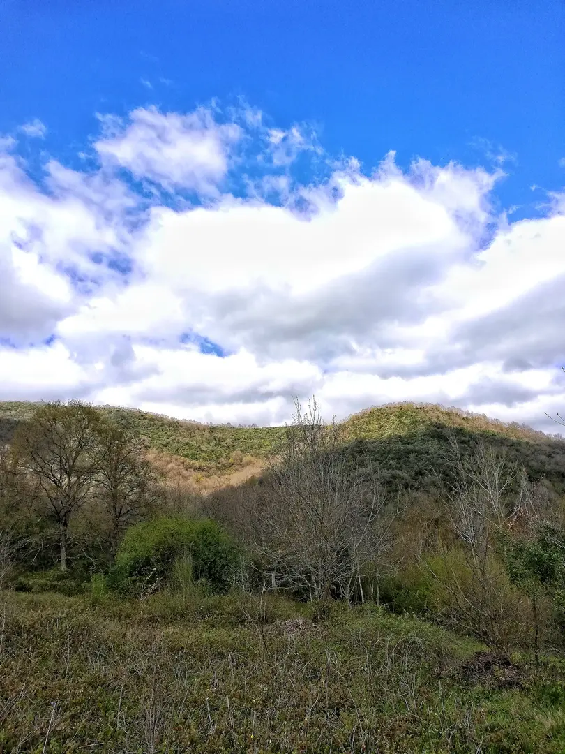 Paşasuyu Walking Trail and Recreation Area — Ankara — küçük resim 5