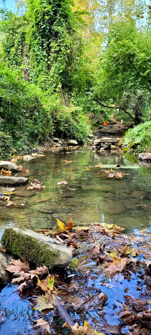 Paşasuyu Walking Trail and Recreation Area — Ankara — küçük resim 6