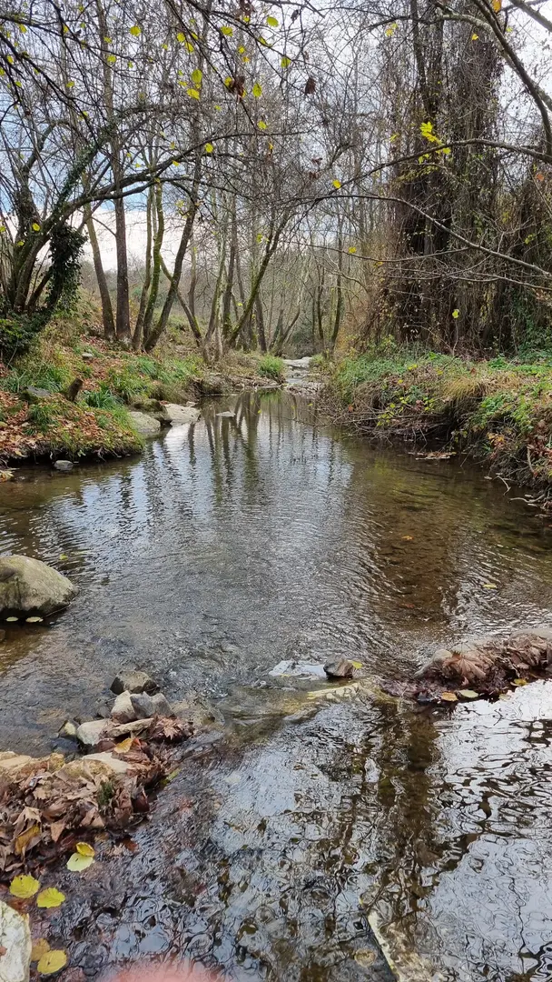 Paşasuyu Walking Trail and Recreation Area — Ankara — küçük resim 7