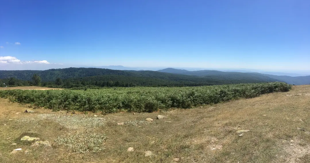 Kartepe Altıoluk Altopiano — Kocaeli — küçük resim 2