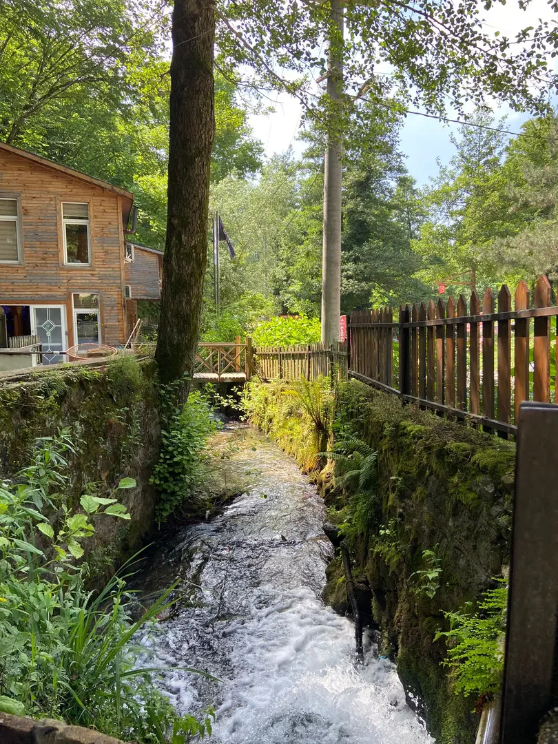 Ormanika Breakfast Trout Picnic and Camping Facility — Yalova — küçük resim 6