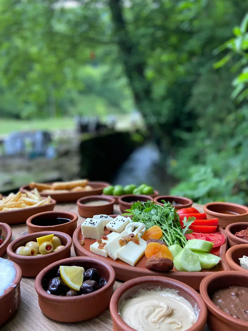 Ormanika Breakfast Trout Picnic and Camping Facility — Yalova — küçük resim 3
