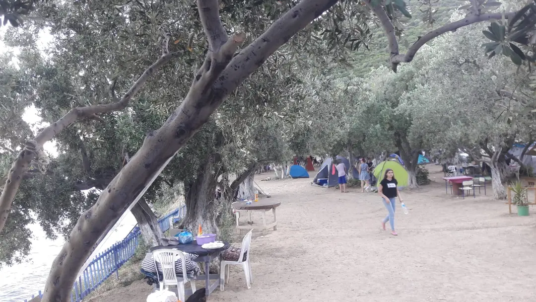 Gizli Bahçe Camping — Yalova — küçük resim 9