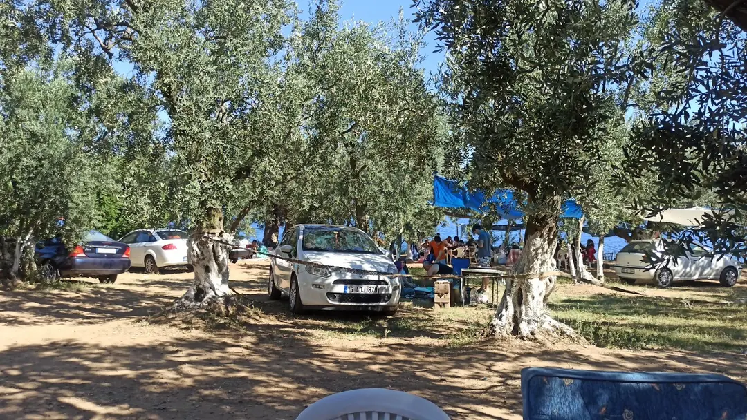 Turan Aile Piknik ve kamp Alanı — Yalova — küçük resim 2