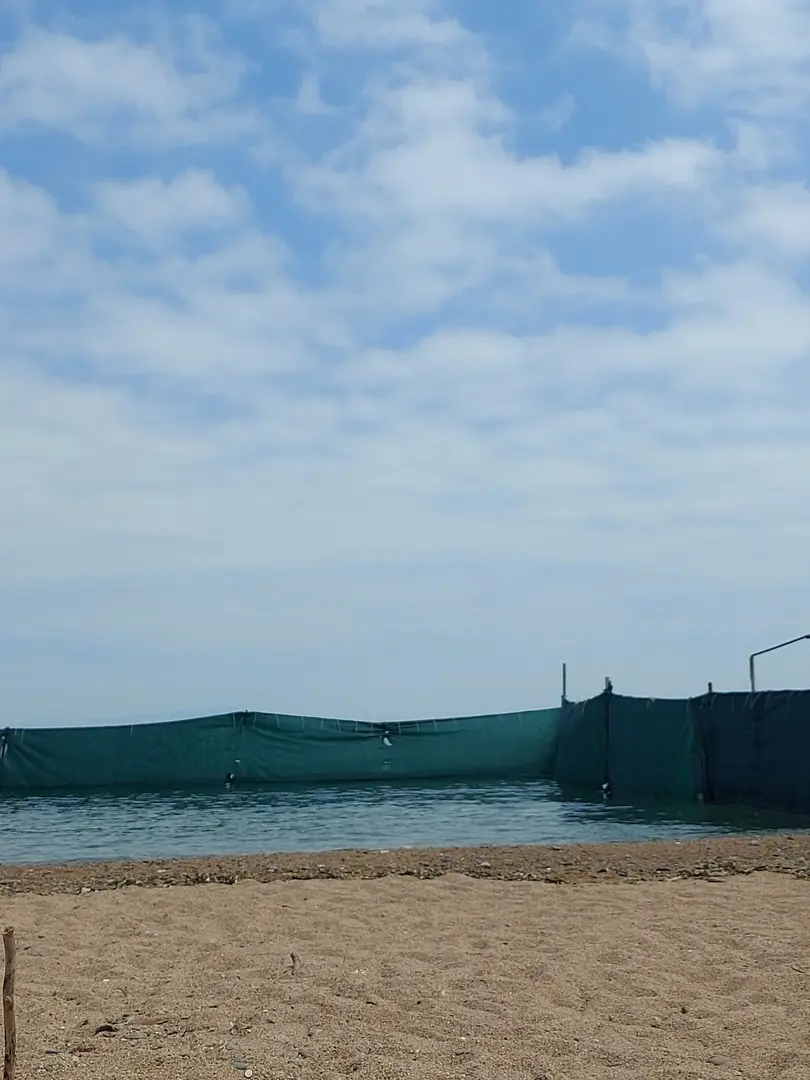 kvinnestrand — Yalova — küçük resim 2