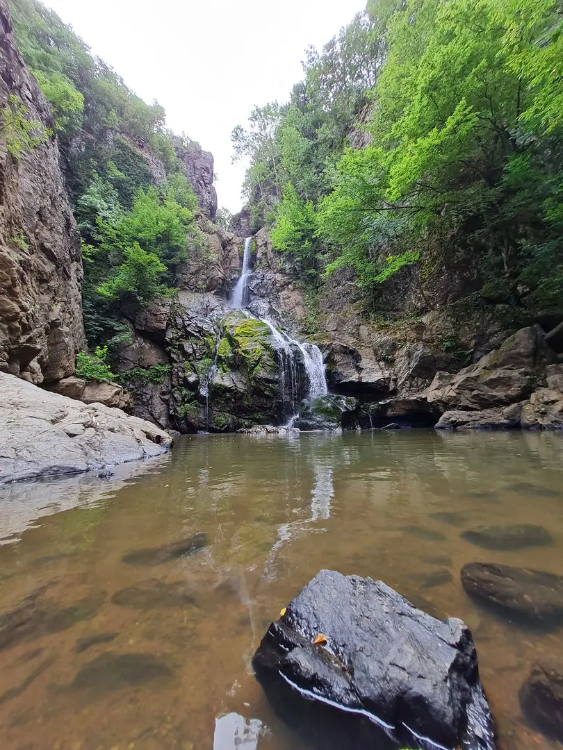 Yalova City Forest — Yalova — küçük resim 6
