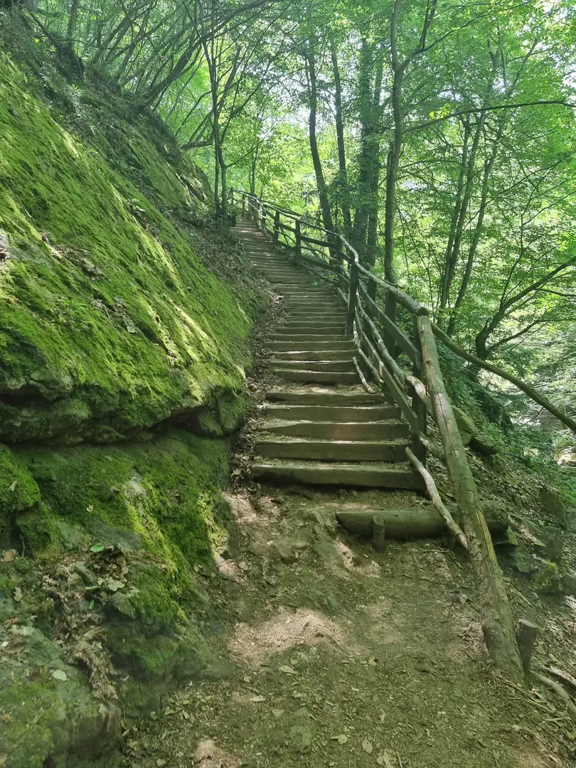 Yalova City Forest — Yalova — küçük resim 9