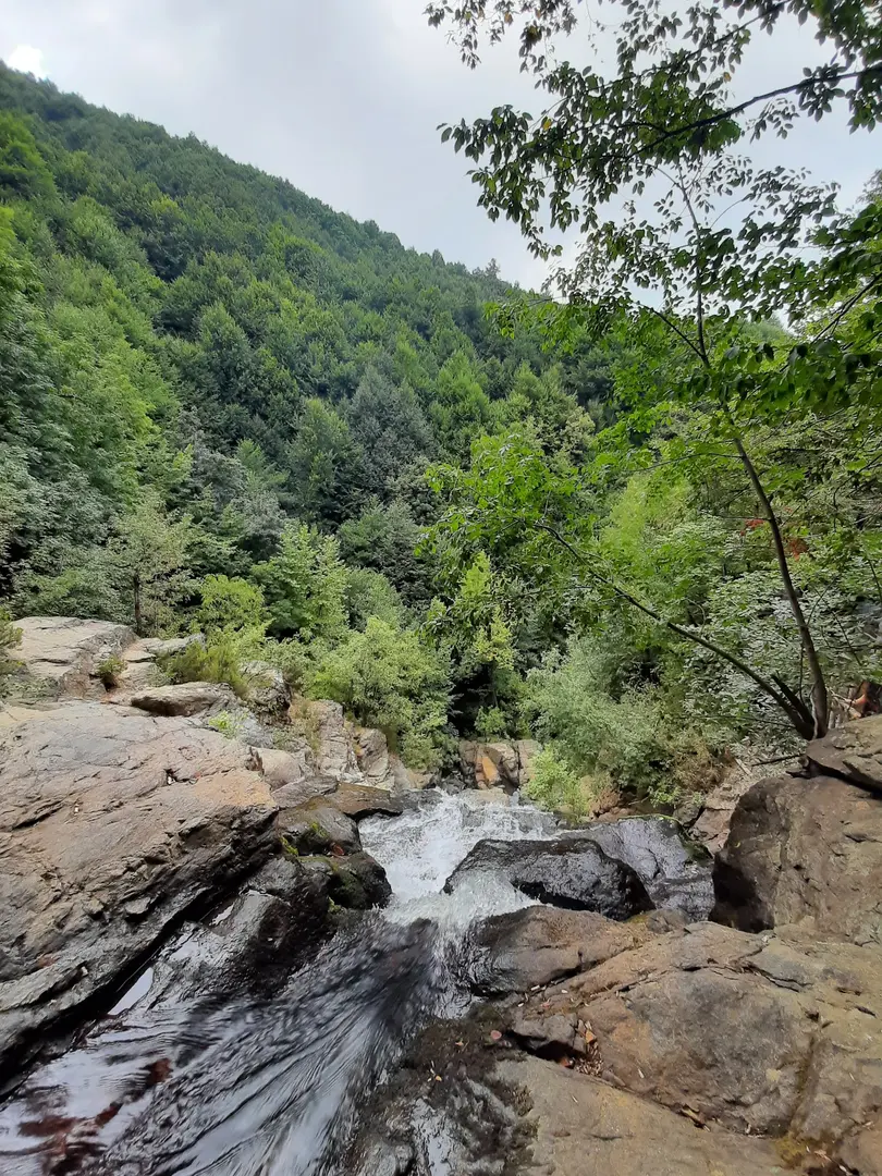 Yalova City Forest — Yalova — küçük resim 4