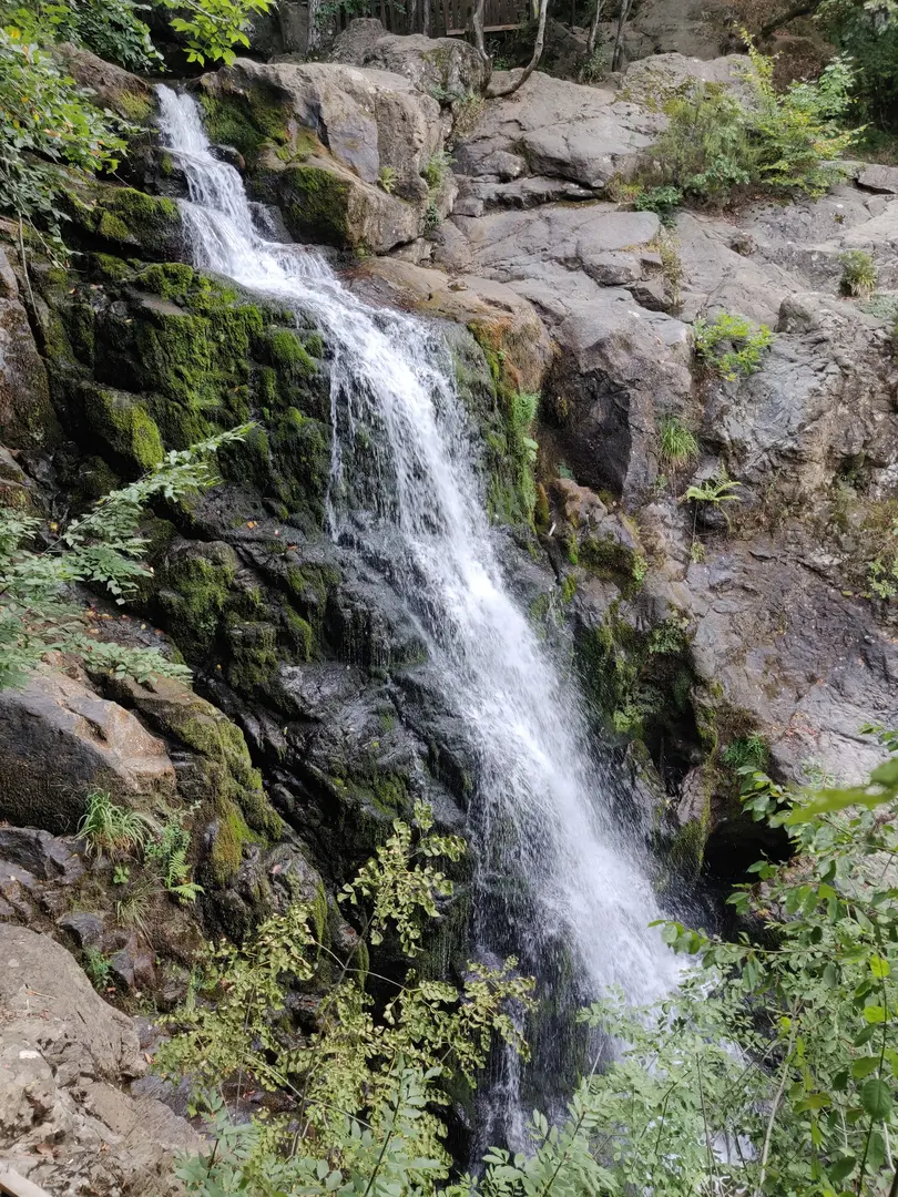 Yalova City Forest — Yalova — küçük resim 2