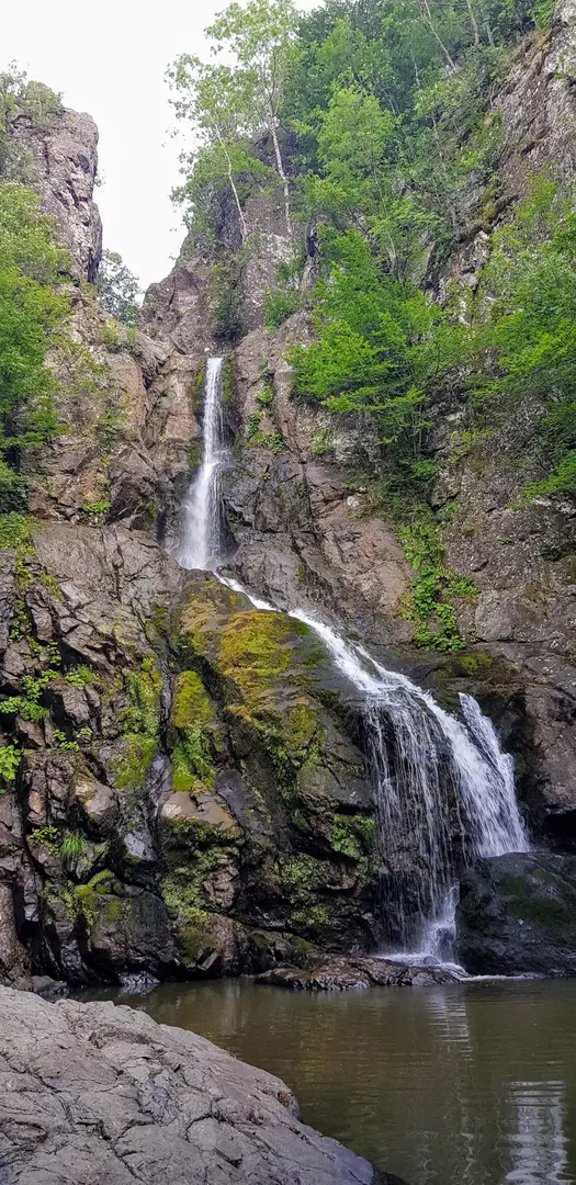 Yalova City Forest — Yalova — küçük resim 3