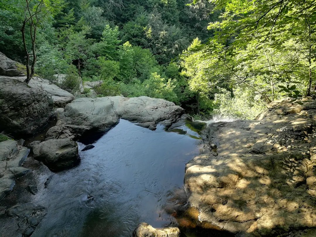 Yalova Kent Ormanı