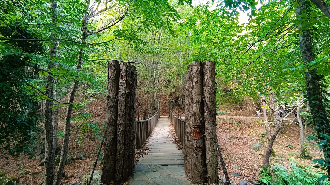 Yalova City Forest — Yalova — küçük resim 8