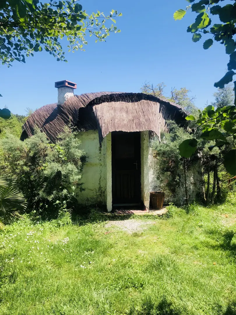 Çamur Evler Boutique-Pension und Campingplatz (Erikli Wasserfall/Kommunikation Whatsapp) — Yalova — küçük resim 8