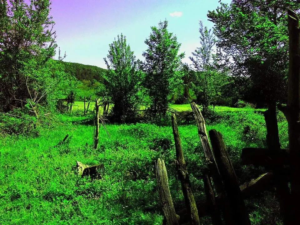 Teşvikiye Erikli Waterfall Camp — Yalova — küçük resim 10