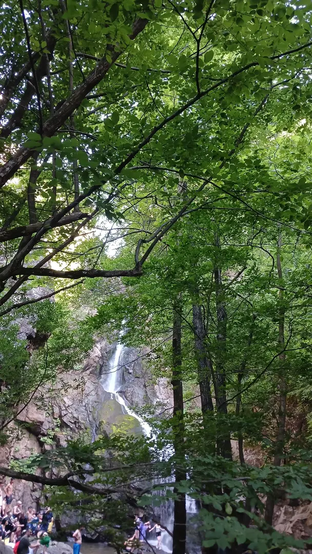 Teşvikiye Erikli Waterfall Camp — Yalova — küçük resim 3