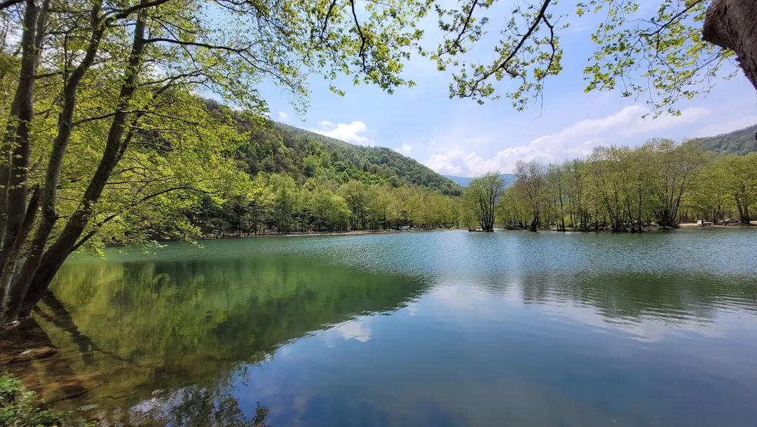Teşvikiye Erikli Waterfall Camp — Yalova — küçük resim 5