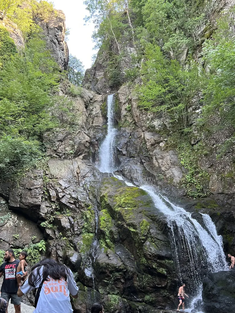 Teşvikiye Erikli Waterfall Camp — Yalova — küçük resim 2