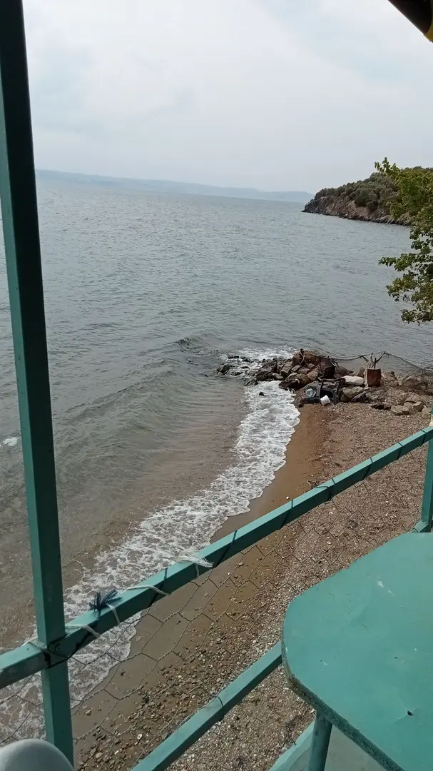 zeytin dalı piknik alanı camping — Yalova — küçük resim 3