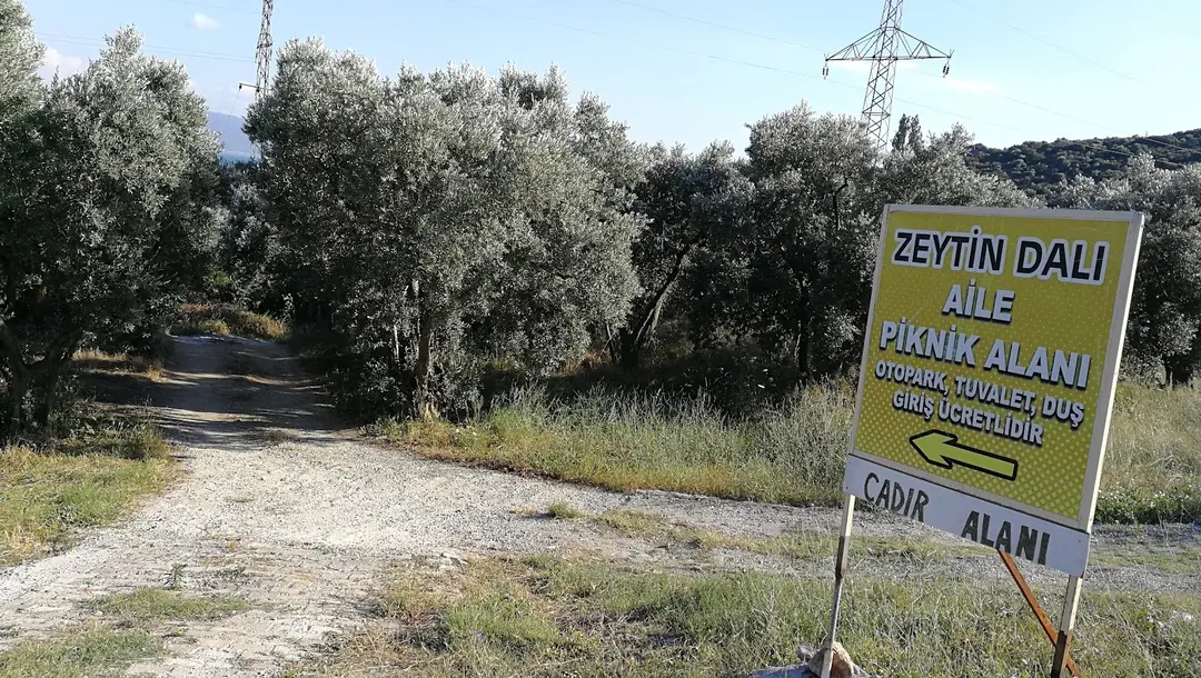 zeytin dalı piknik alanı camping — Yalova — küçük resim 7