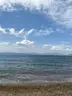 zeytin dalı piknik alanı camping
