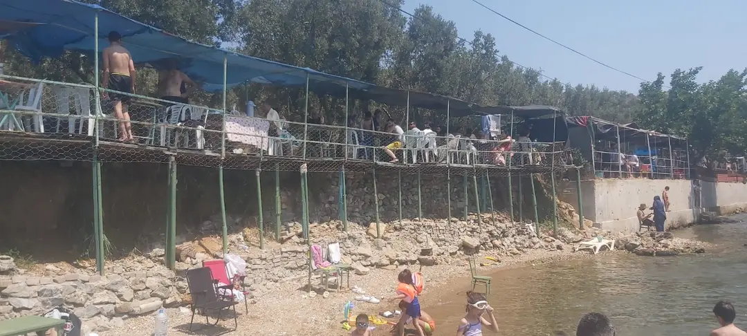 zeytin dalı piknik alanı camping — Yalova — küçük resim 5