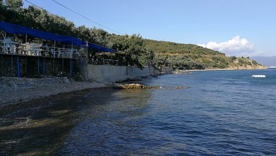 zeytin dalı piknik alanı camping — Yalova — küçük resim 4