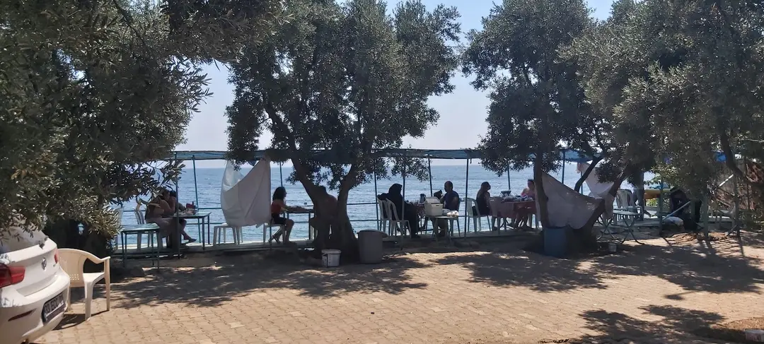 zeytin dalı piknik alanı camping — Yalova — küçük resim 9