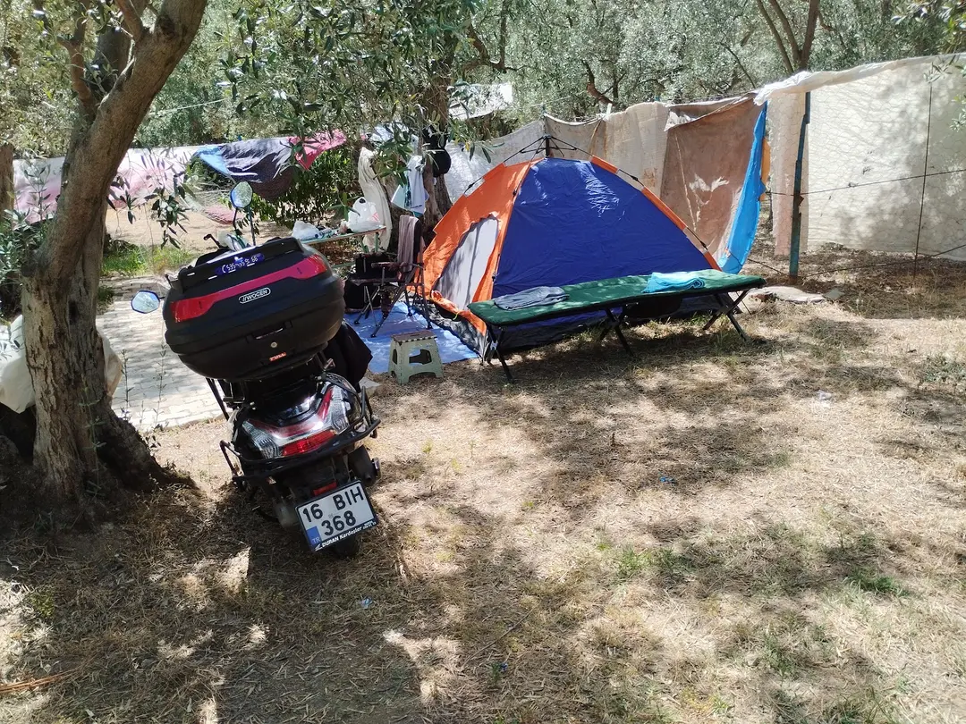 zeytin dalı piknik alanı camping — Yalova — küçük resim 8