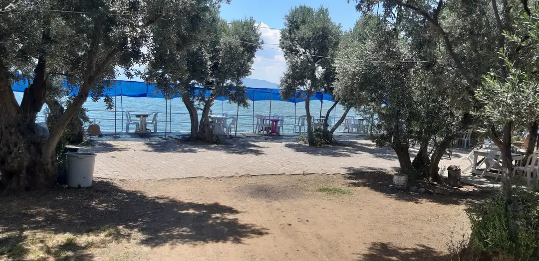 zeytin dalı piknik alanı camping — Yalova — küçük resim 2