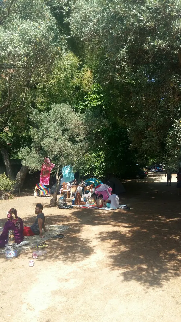 Küçük İpek Camping and Picnic Area — Yalova — küçük resim 5