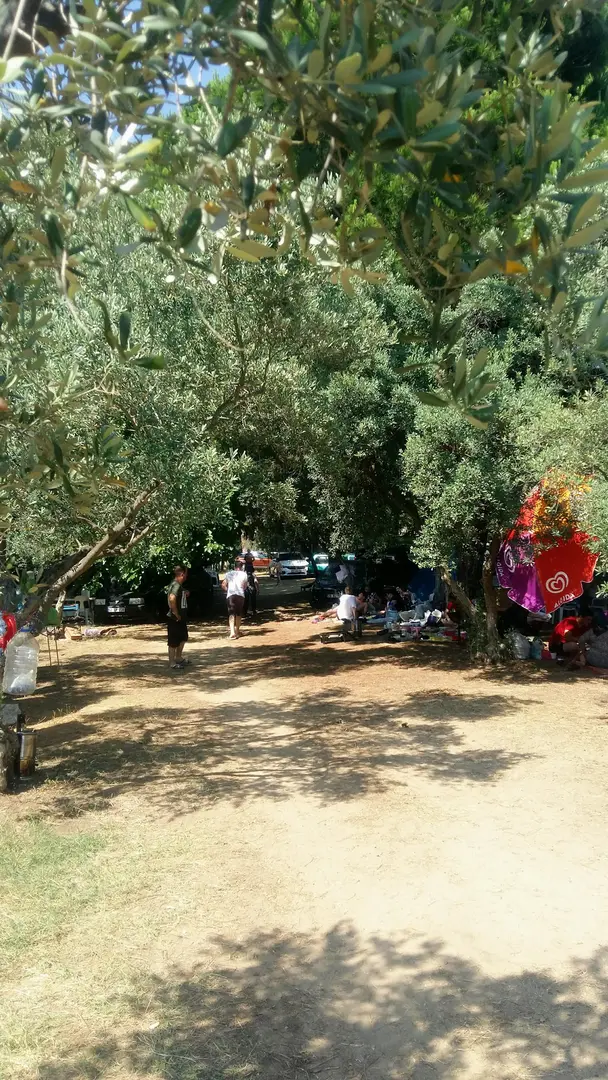 Küçük İpek Camping and Picnic Area — Yalova — küçük resim 8