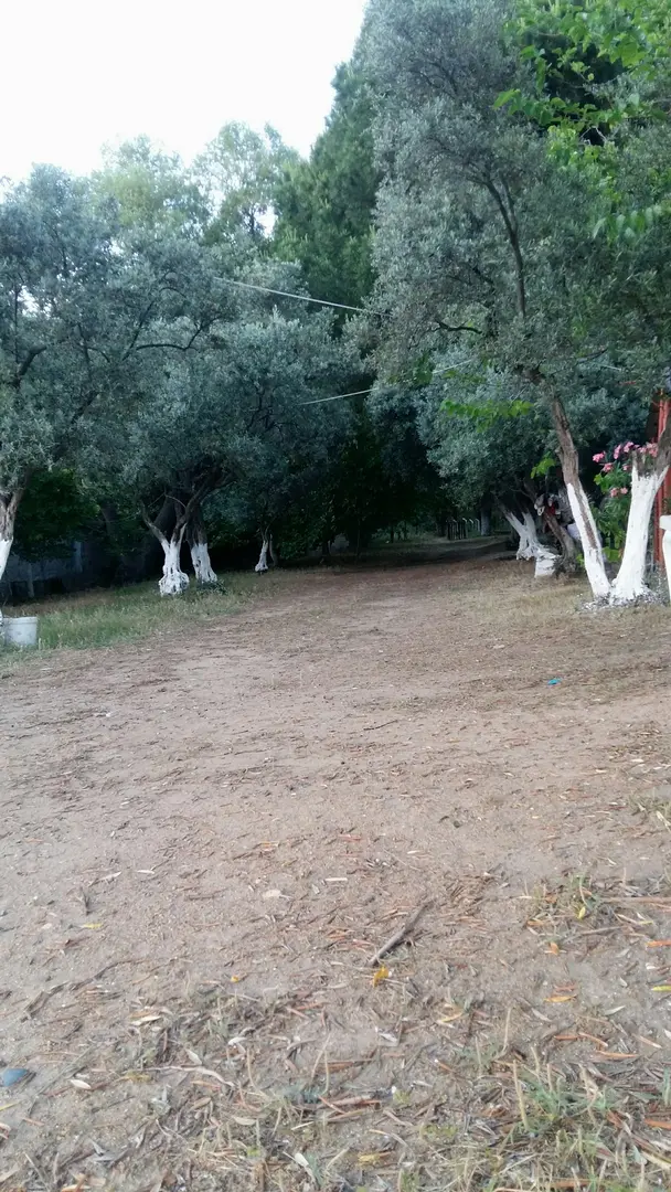 Küçük İpek Camping and Picnic Area — Yalova — küçük resim 2