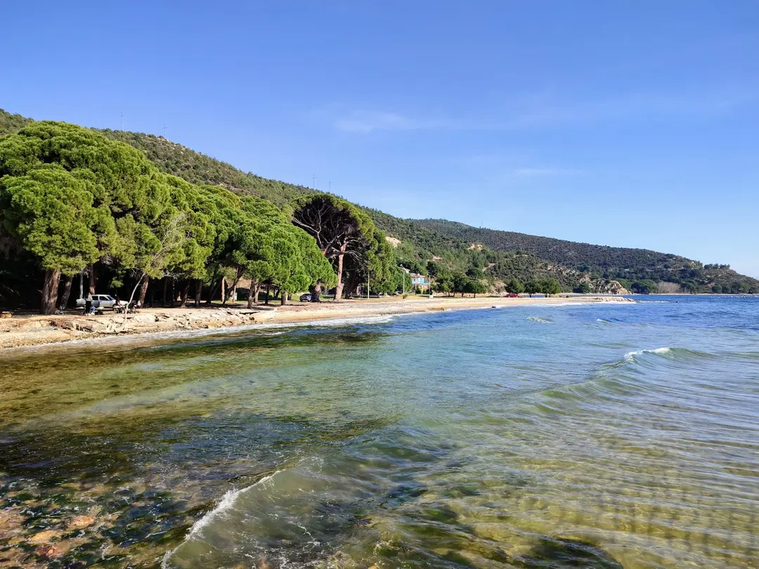 Área de Picnic de Fıstıklı Köyü — Yalova — küçük resim 3