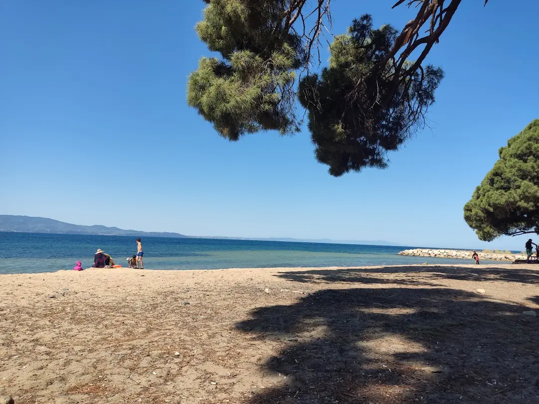 Área de Picnic de Fıstıklı Köyü — Yalova — küçük resim 2