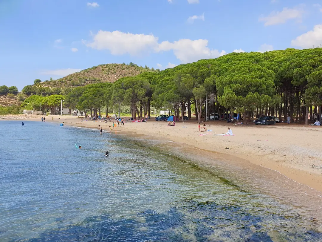 Área de Picnic de Fıstıklı Köyü — Yalova — fotoğraf 1