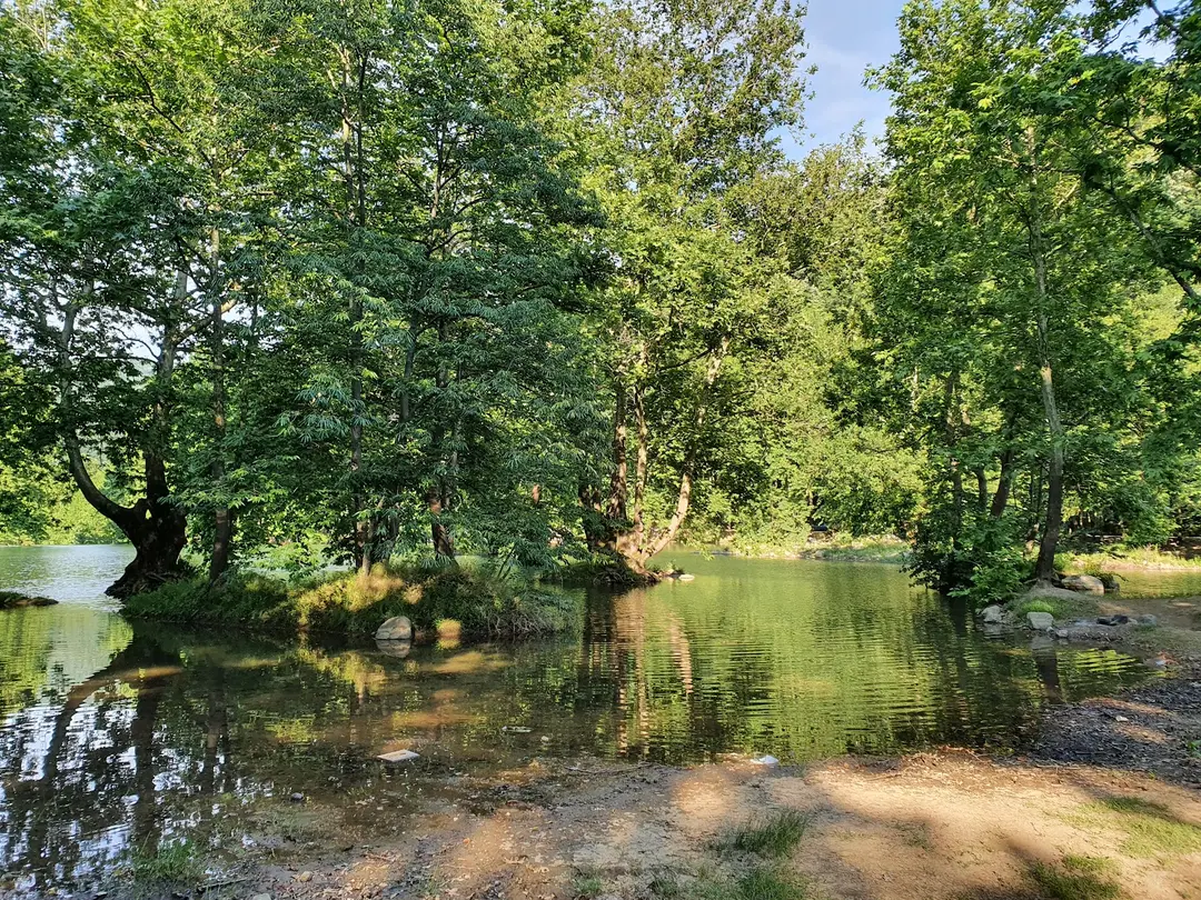 Dipsiz Göller Picnic Area — Yalova — küçük resim 5