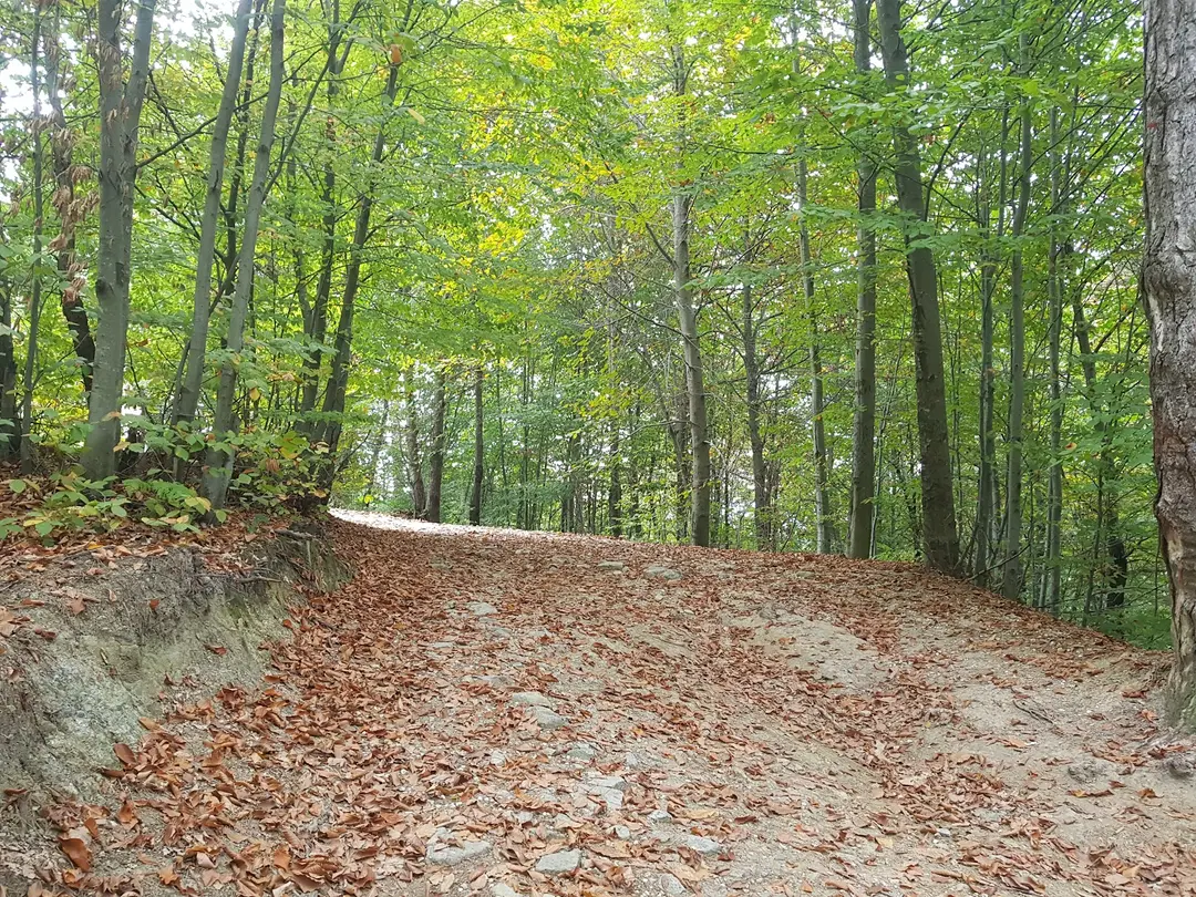 Dipsiz Göller Picnic Area — Yalova — küçük resim 7