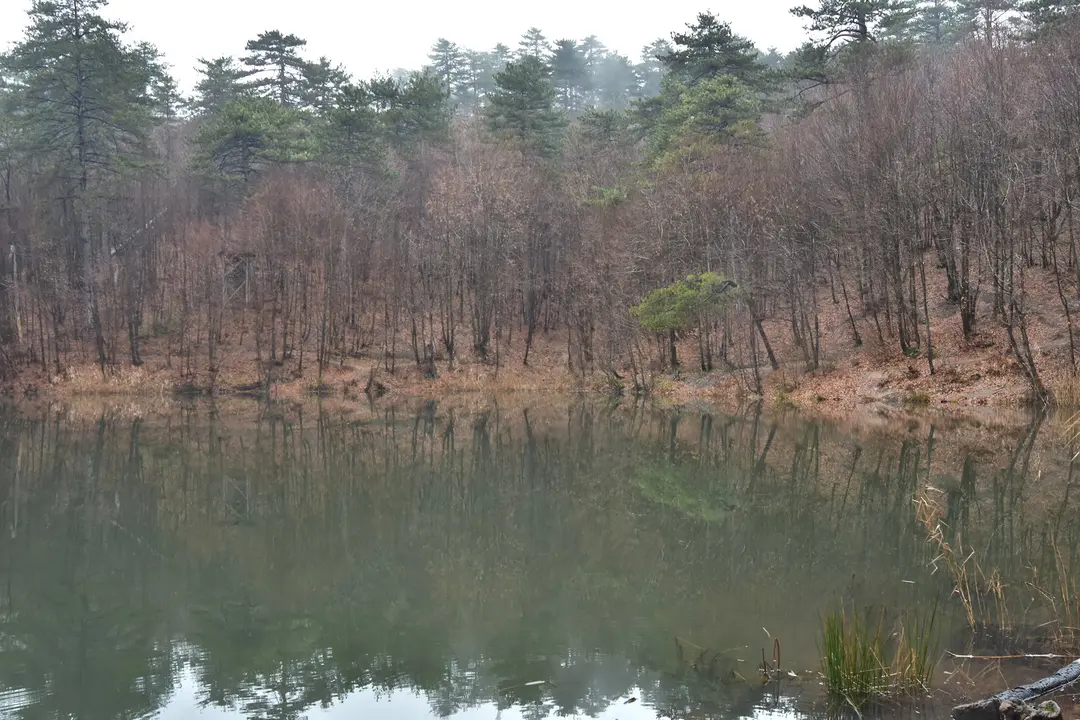 Dipsiz Göller Picnic Area — Yalova — küçük resim 3