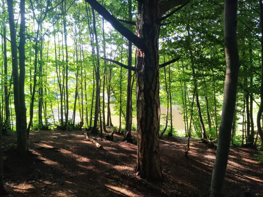 Dipsiz Göller Picnic Area — Yalova — küçük resim 6