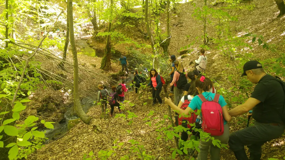 Dipsiz Göller Picnic Area — Yalova — küçük resim 9